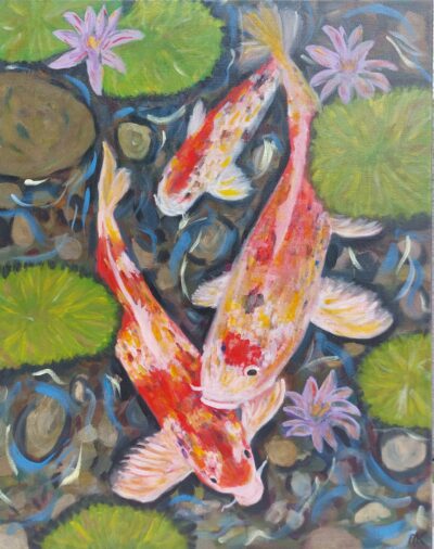 Koi