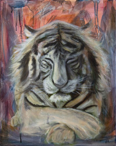 Friedvoller Tiger